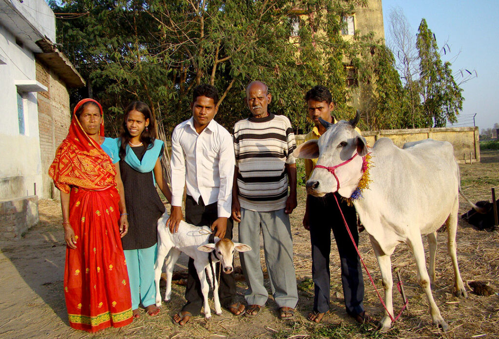 We have proposed micro credit to Anuj & Navin to buy the cow Shanti & little Kumkum.